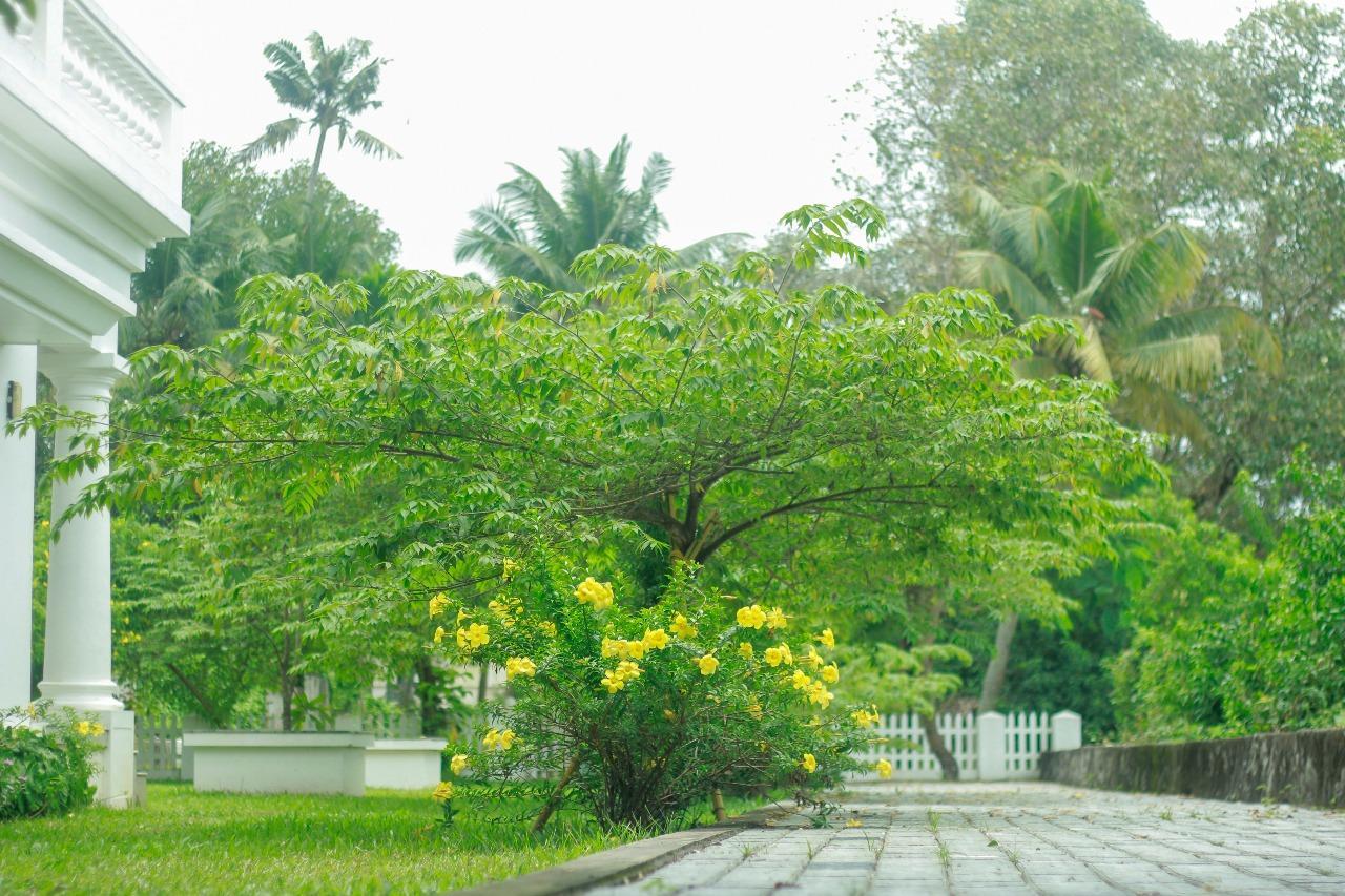 Muziris Harbour View Kochi Exterior photo